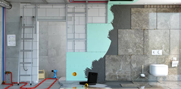 Best Basement Mold Removal  in Waverly, VA